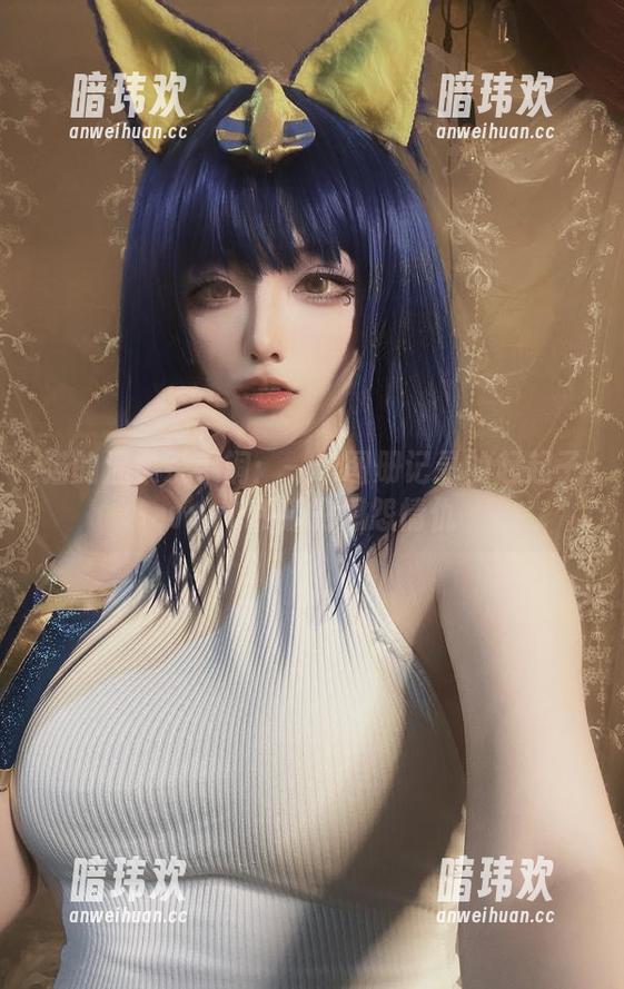 猫的温柔杀手锏：一个图册记录的起起子vvvv和猫的恩怨情仇